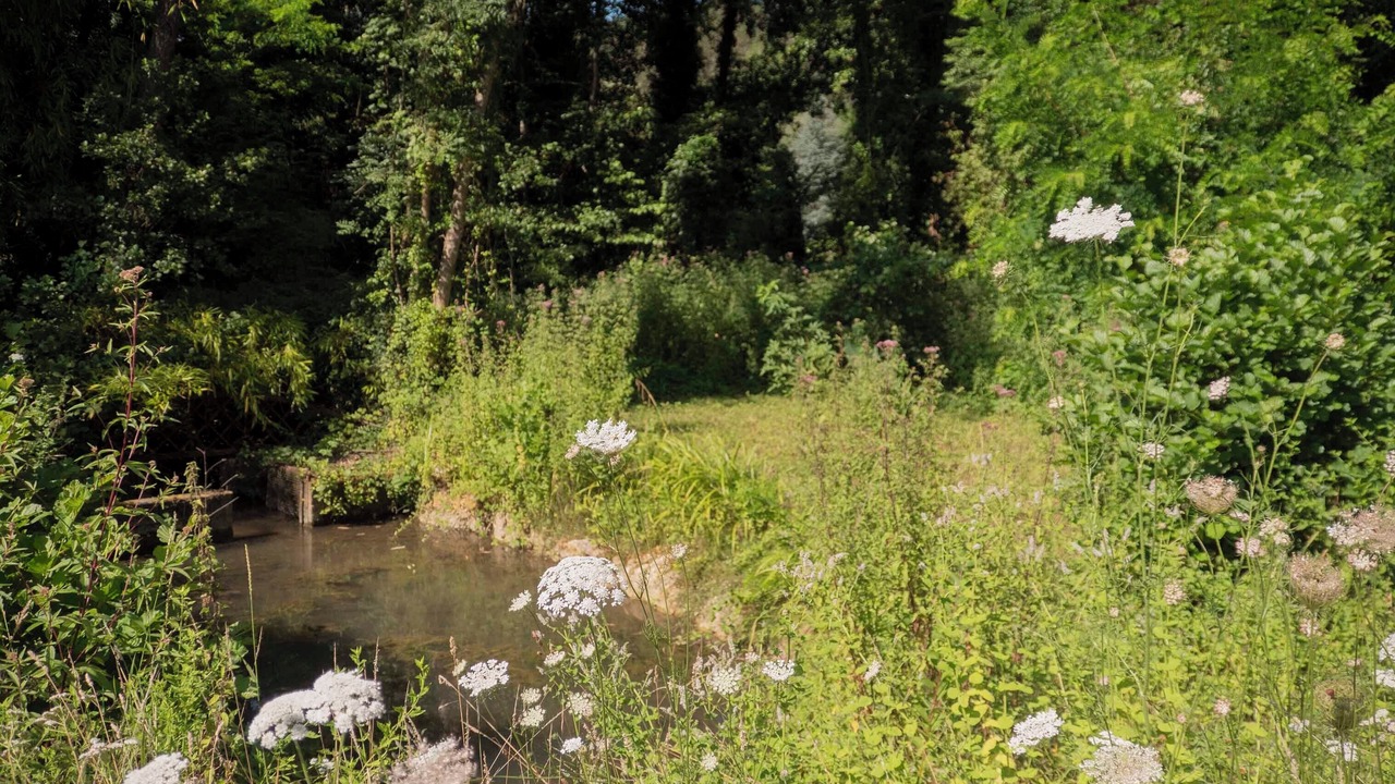 Photo of Outdoor in Le Bugue