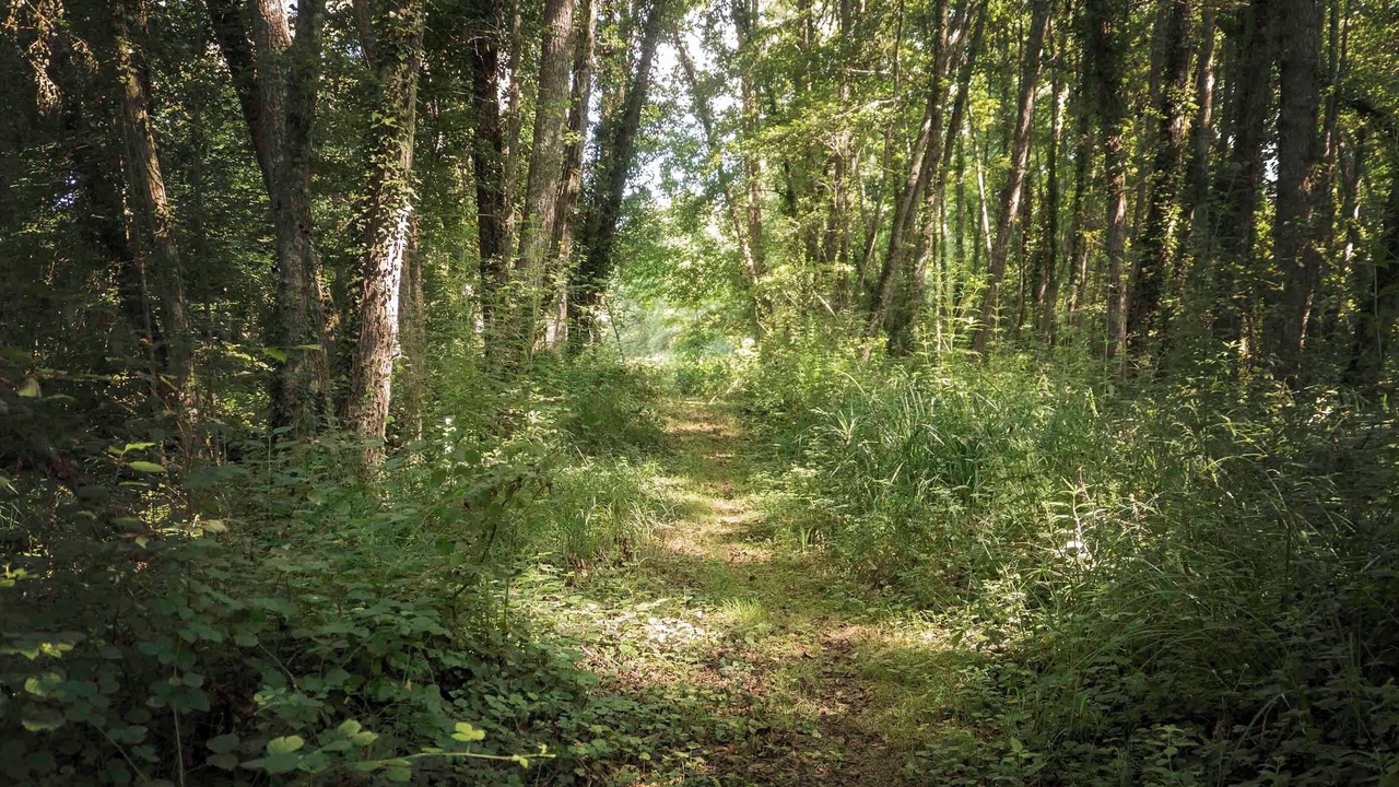 Photo of Outdoor in Le Bugue