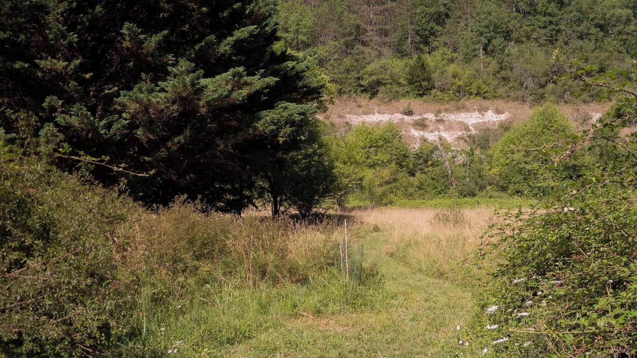 Photo of Outdoor in Le Bugue