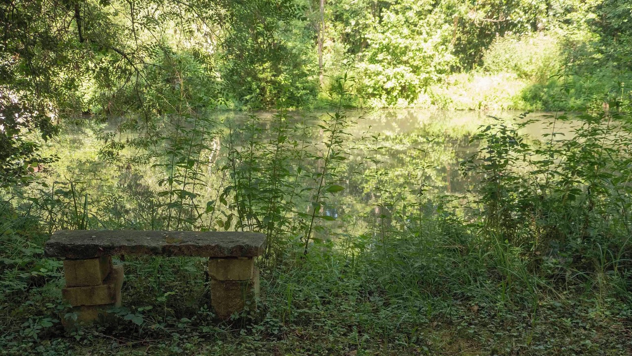 Photo of Outdoor in Le Bugue