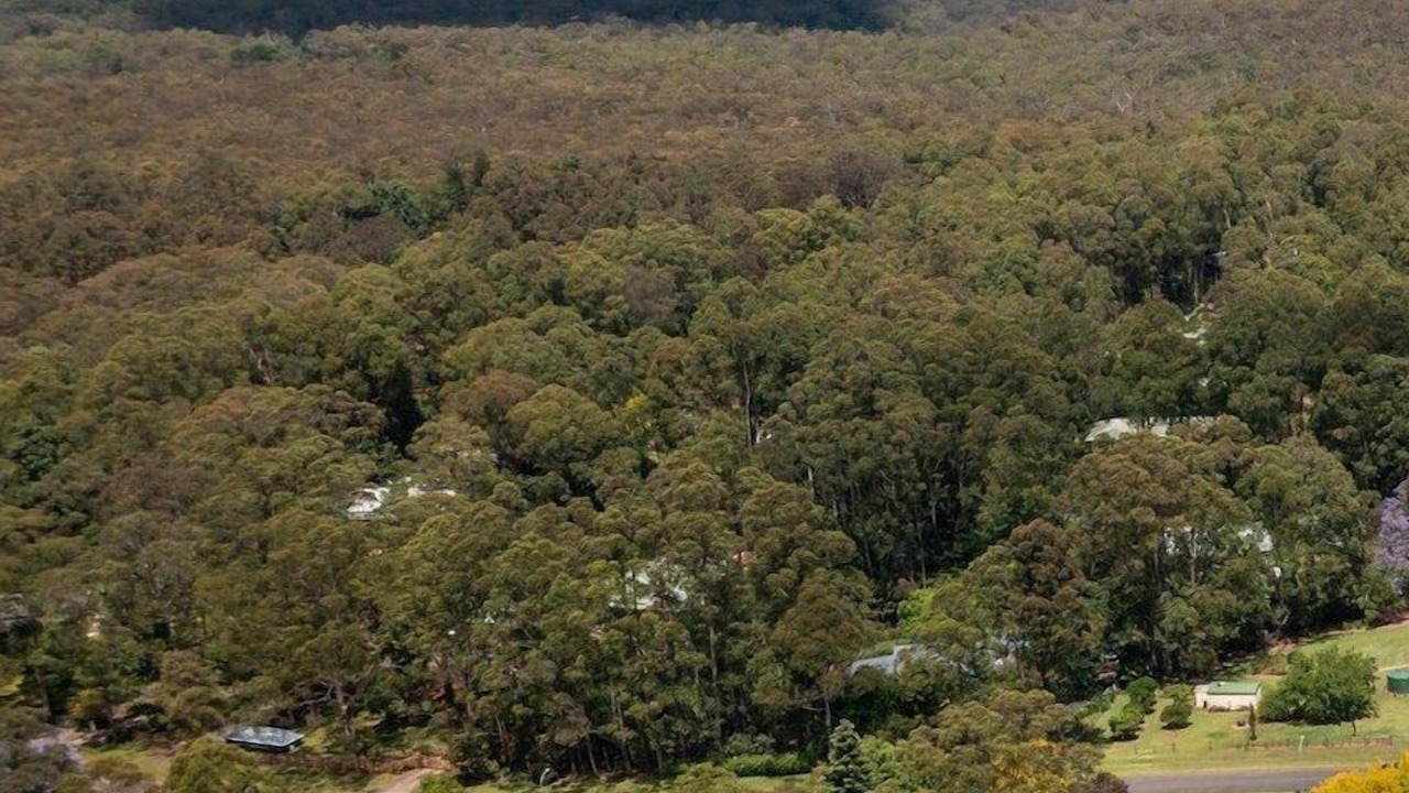 Photo of Others in Tapitallee