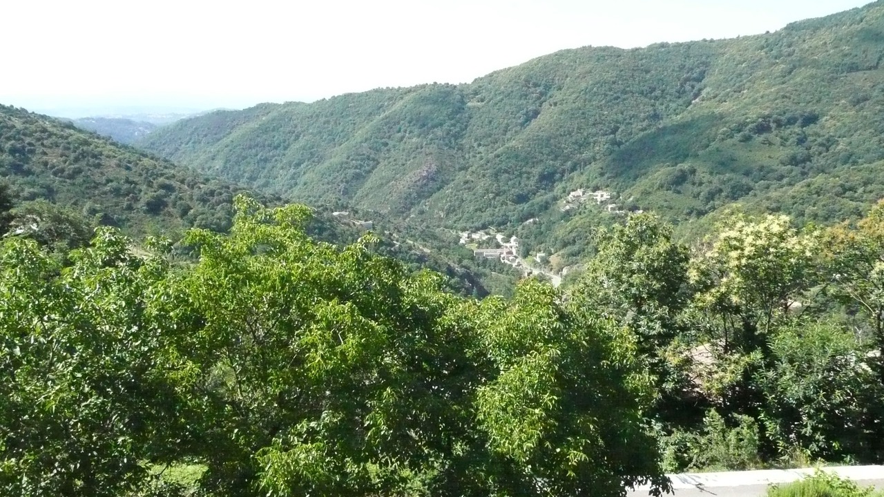 Photo of Others in Asperjoc