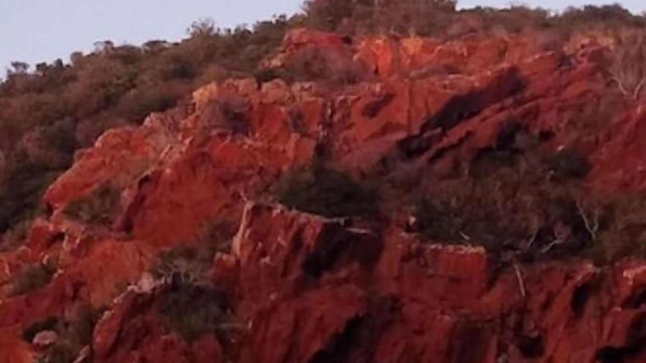 Photo of Others in Galeria