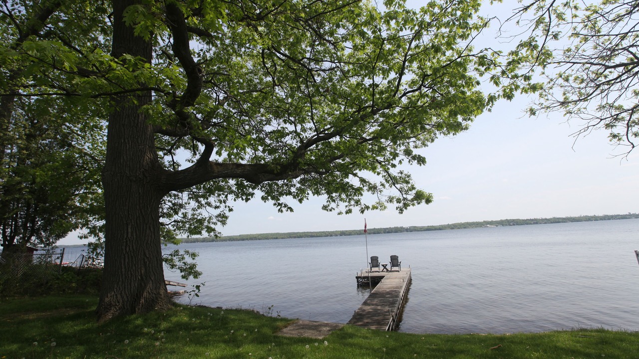 Photo of Others in Cameron