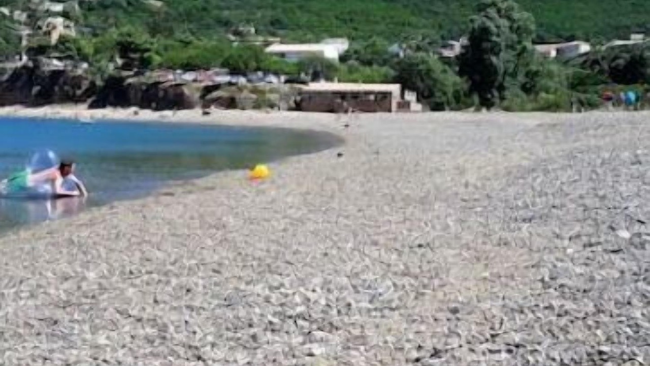 Photo of Others in Galeria