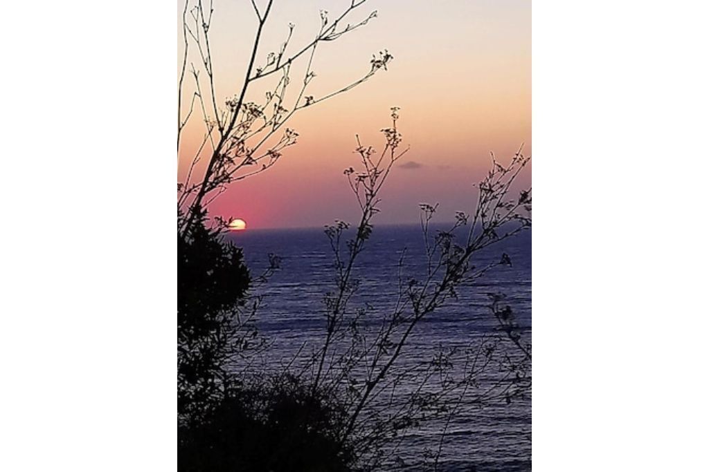 Photo of Others in Galeria