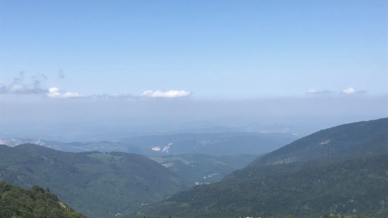 Photo of Others in Montferrier