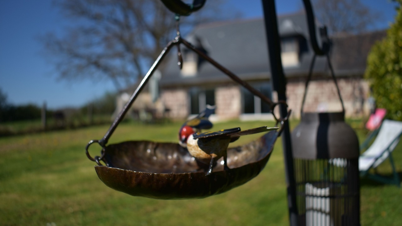 Photo of Others in Segonzac