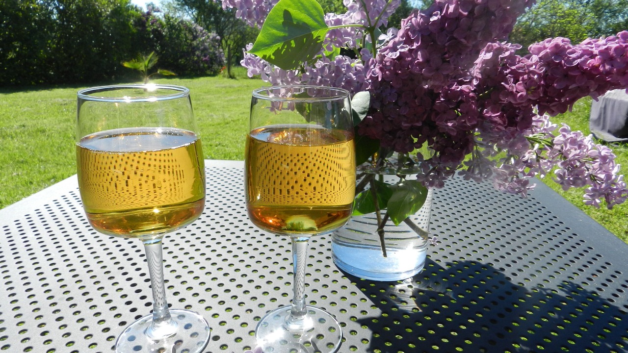 Photo of Outdoor in Segonzac