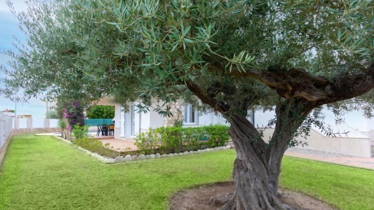 Photo of Outdoor in Calafat