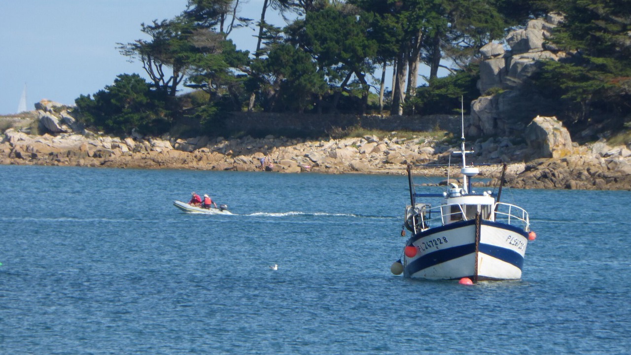 Photo of Others in Gommenec'h