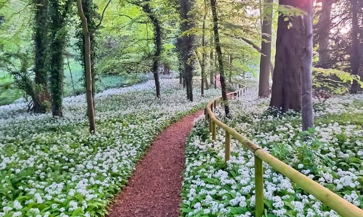 Photo of Others in Raywell