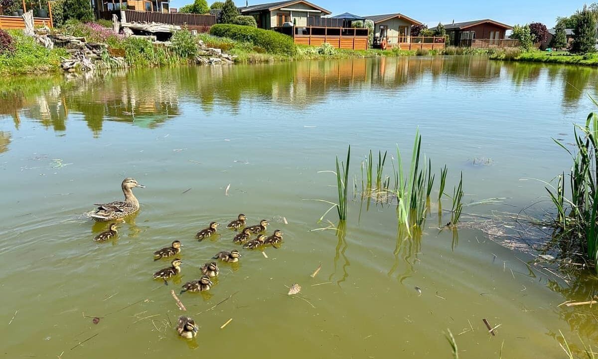 Photo of Others in Raywell