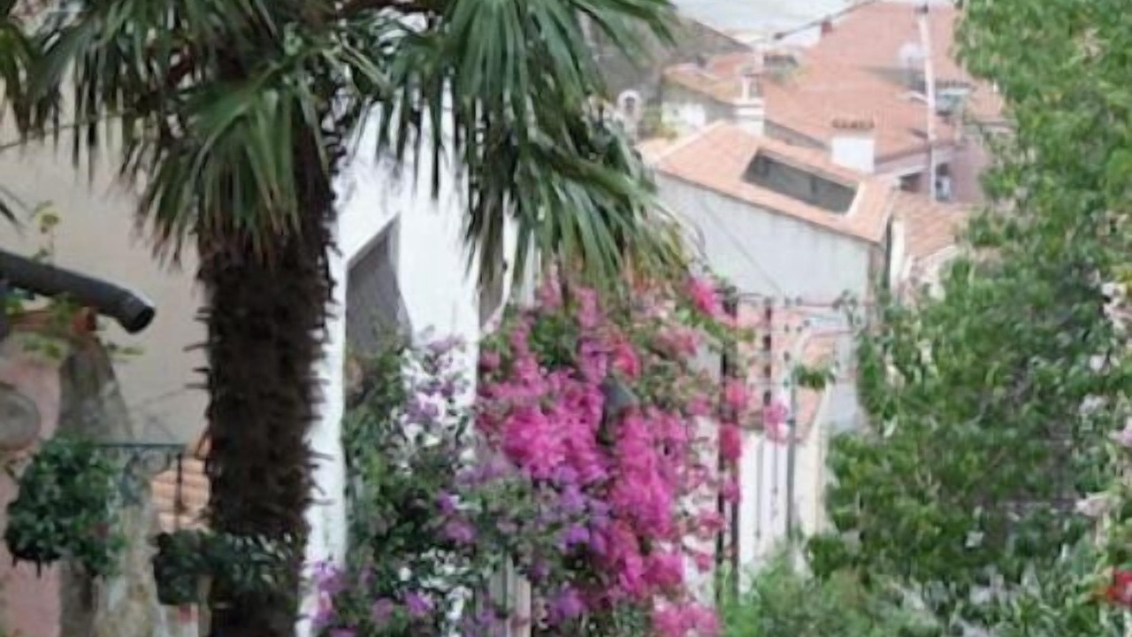 Photo of Outdoor in Banyuls-sur-Mer