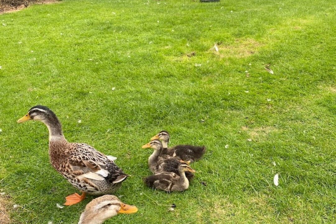 Photo of Outdoor in Rock