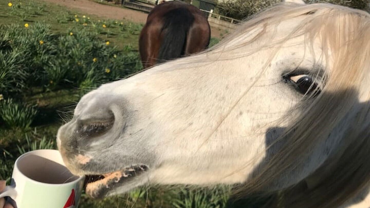 Photo of Others in Rock