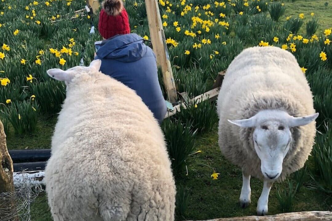 Photo of Others in Rock