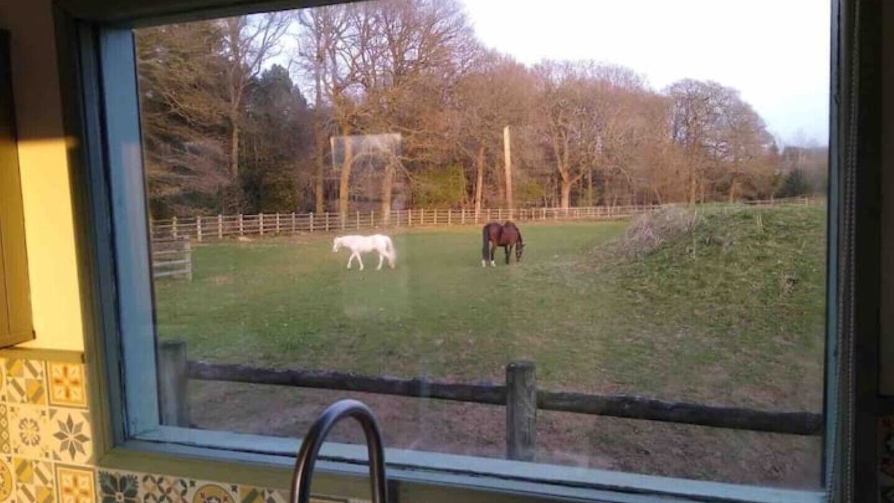 Photo of Others in Rock