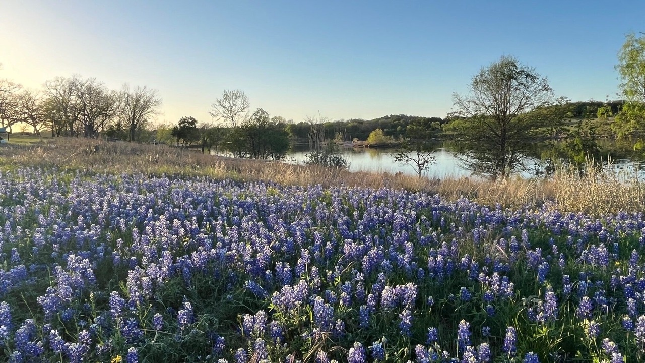 Photo of Outdoor in Cottonwood Shores