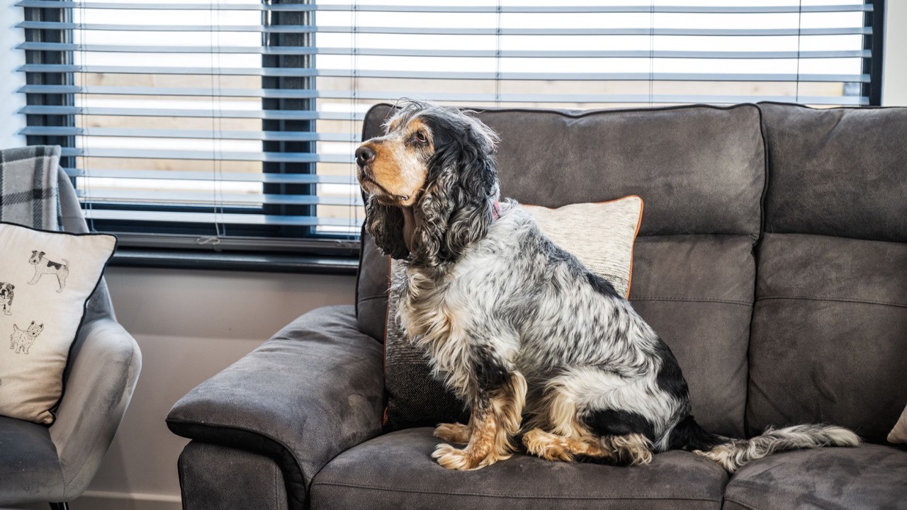 Photo of Others in Porthleven