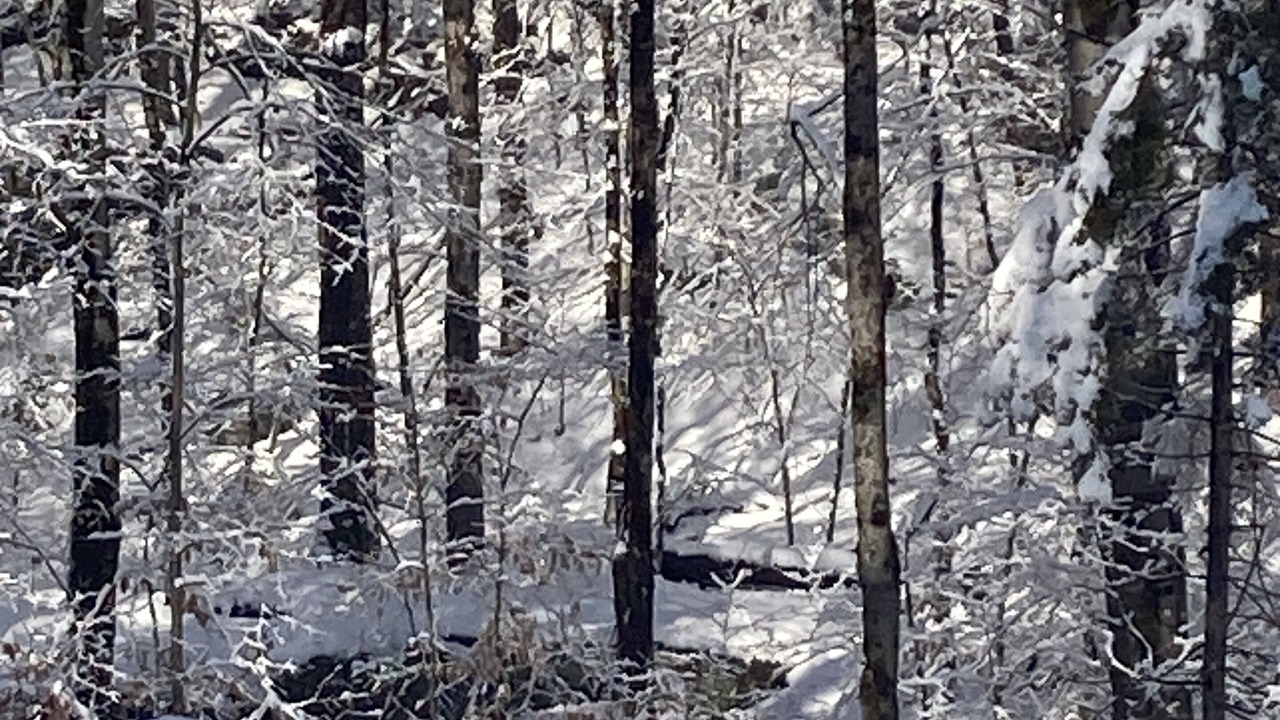 Photo of Outdoor in Town of Webb