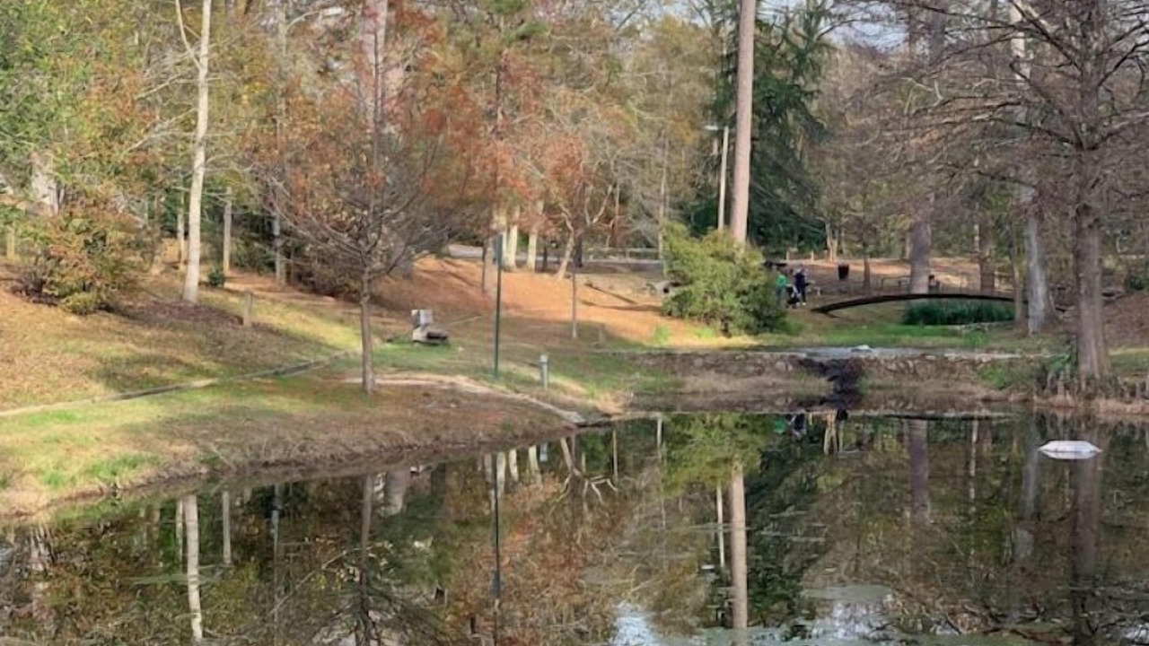 Photo of Outdoor in Covington