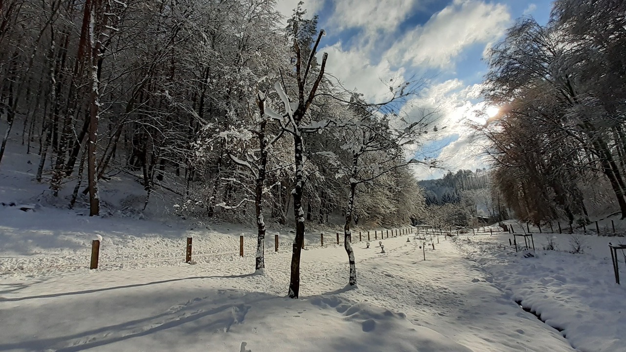 Photo of Others in Reipertswiller