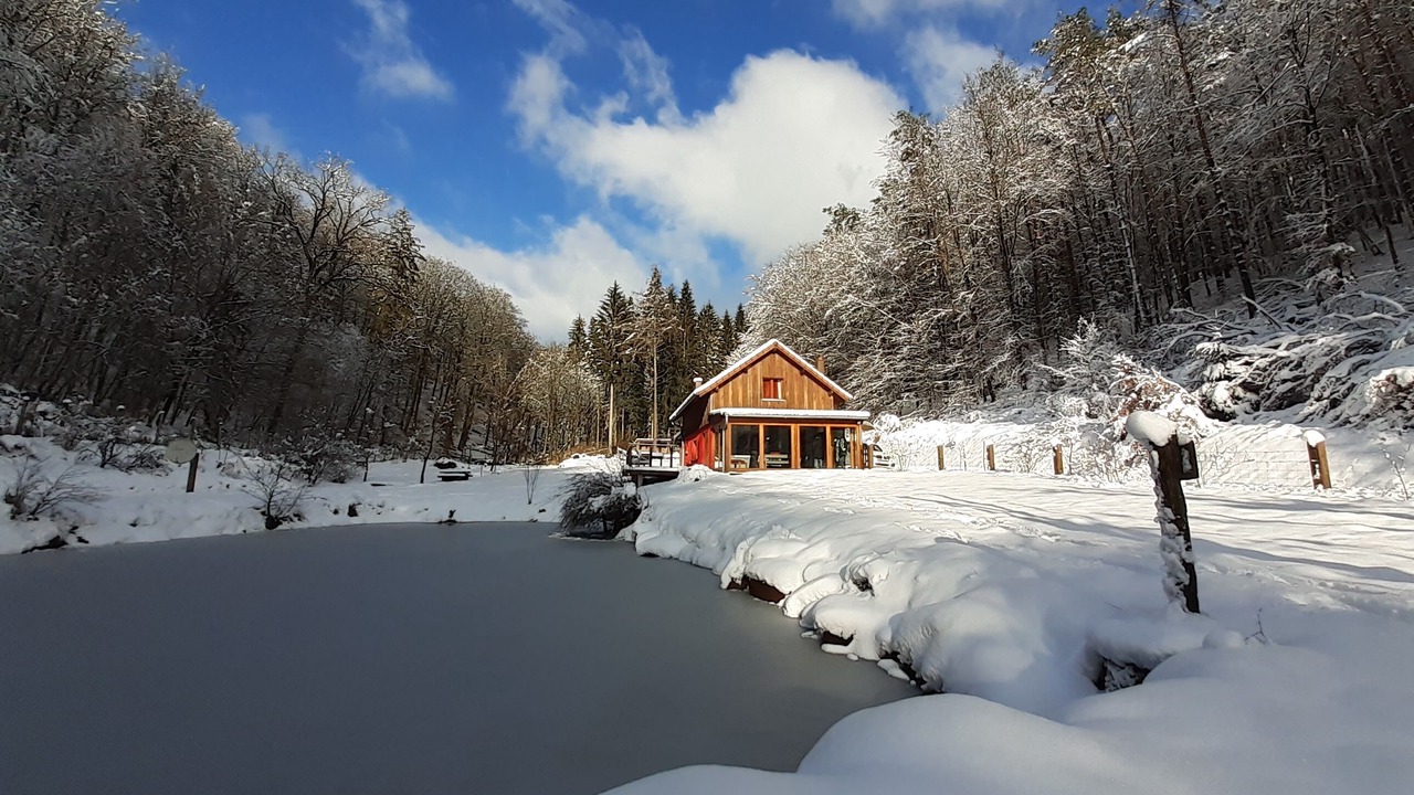 Photo of Outdoor in Reipertswiller