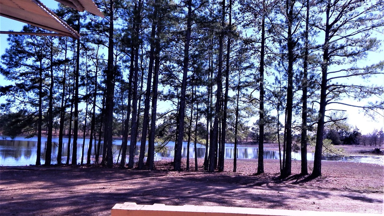 Photo of Outdoor in Antlers