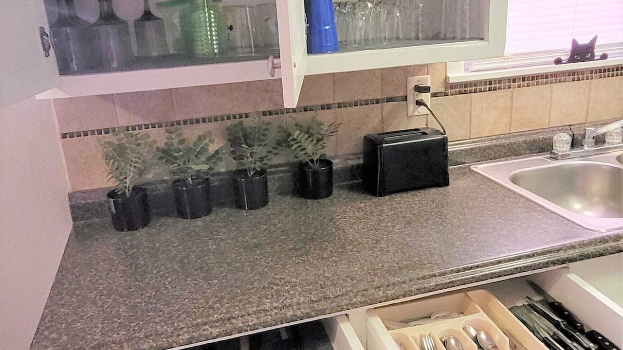 Photo of Kitchen in Abilene