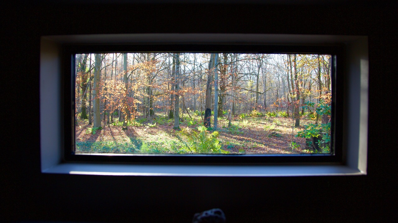 Photo of Others in Poigny la Foret