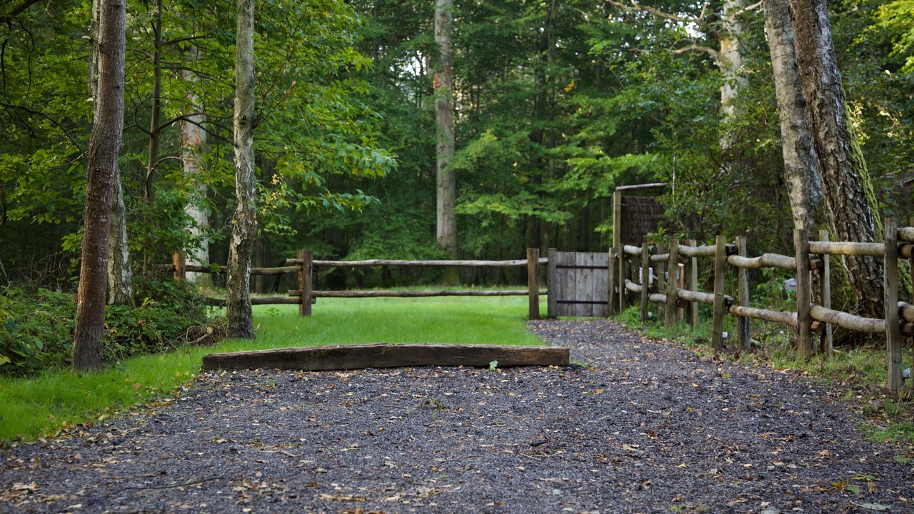 Photo of Outdoor in Poigny la Foret
