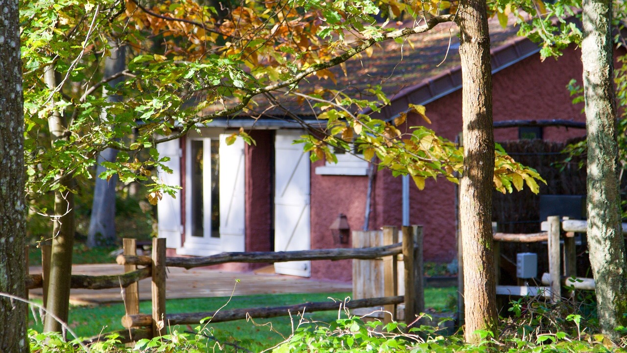 Photo of Outdoor in Poigny la Foret