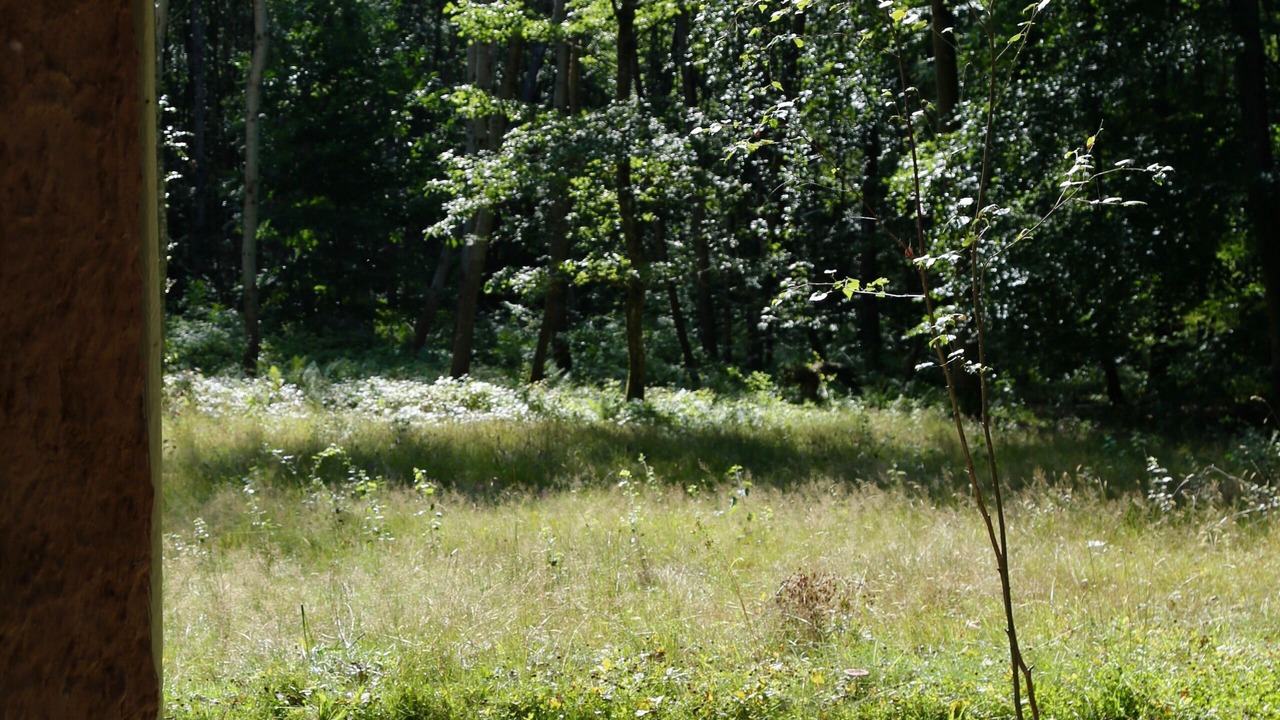 Photo of Outdoor in Poigny la Foret