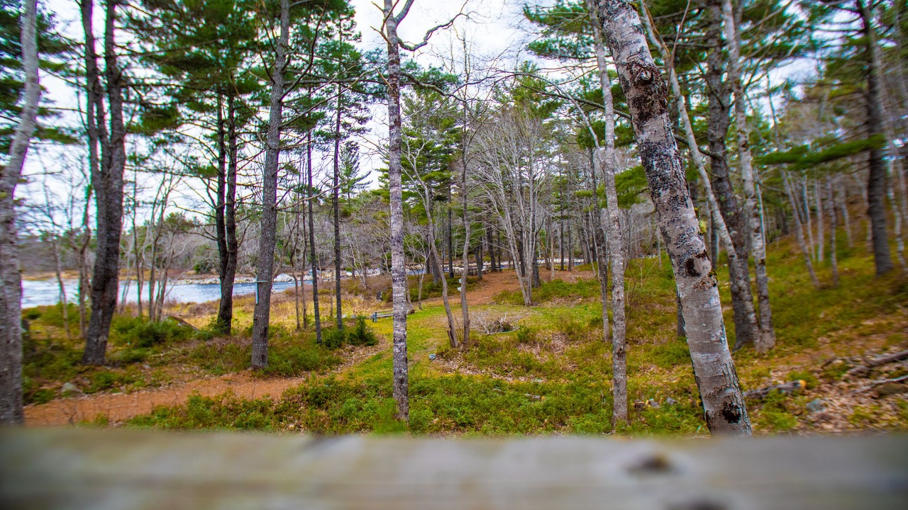 Photo of Outdoor in Shelburne