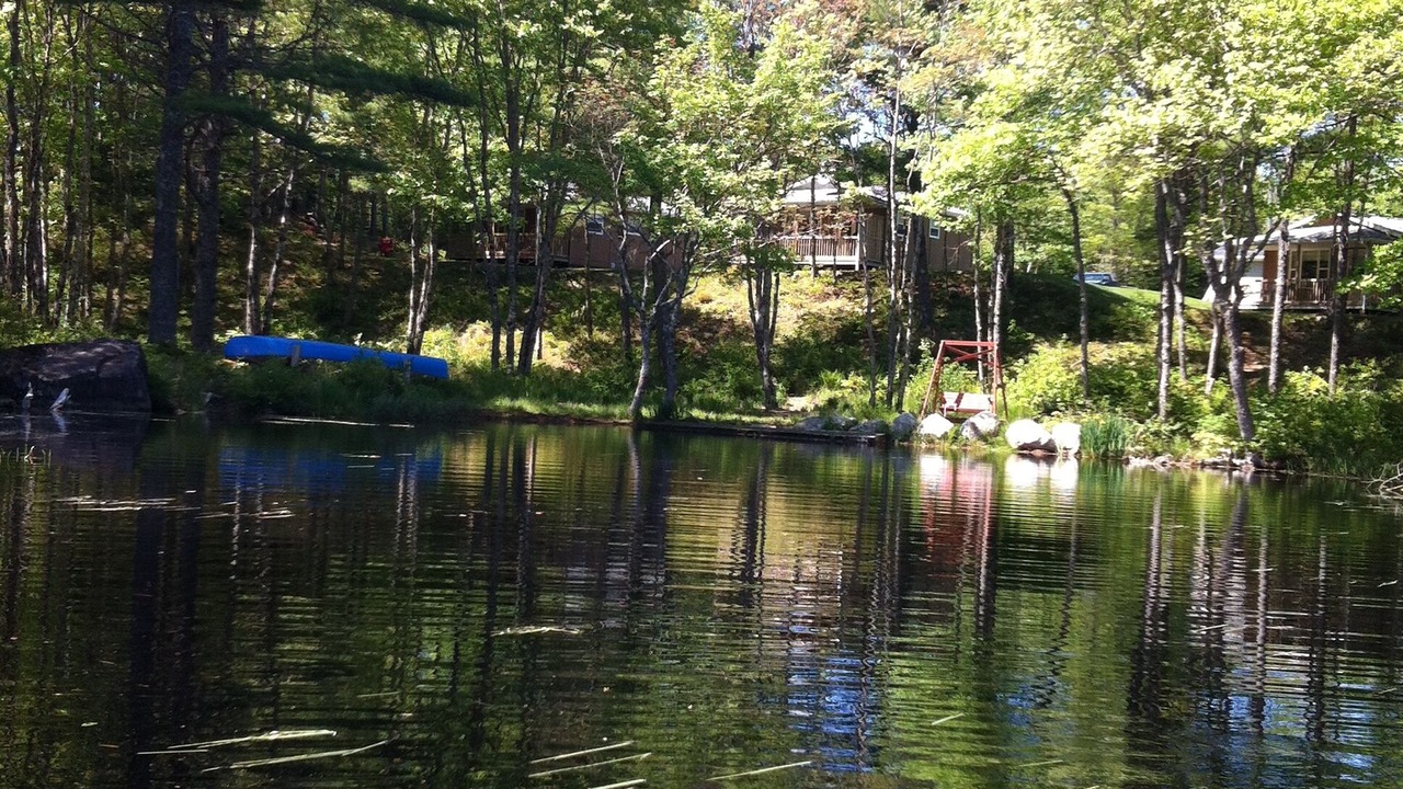 Photo of Outdoor in Shelburne