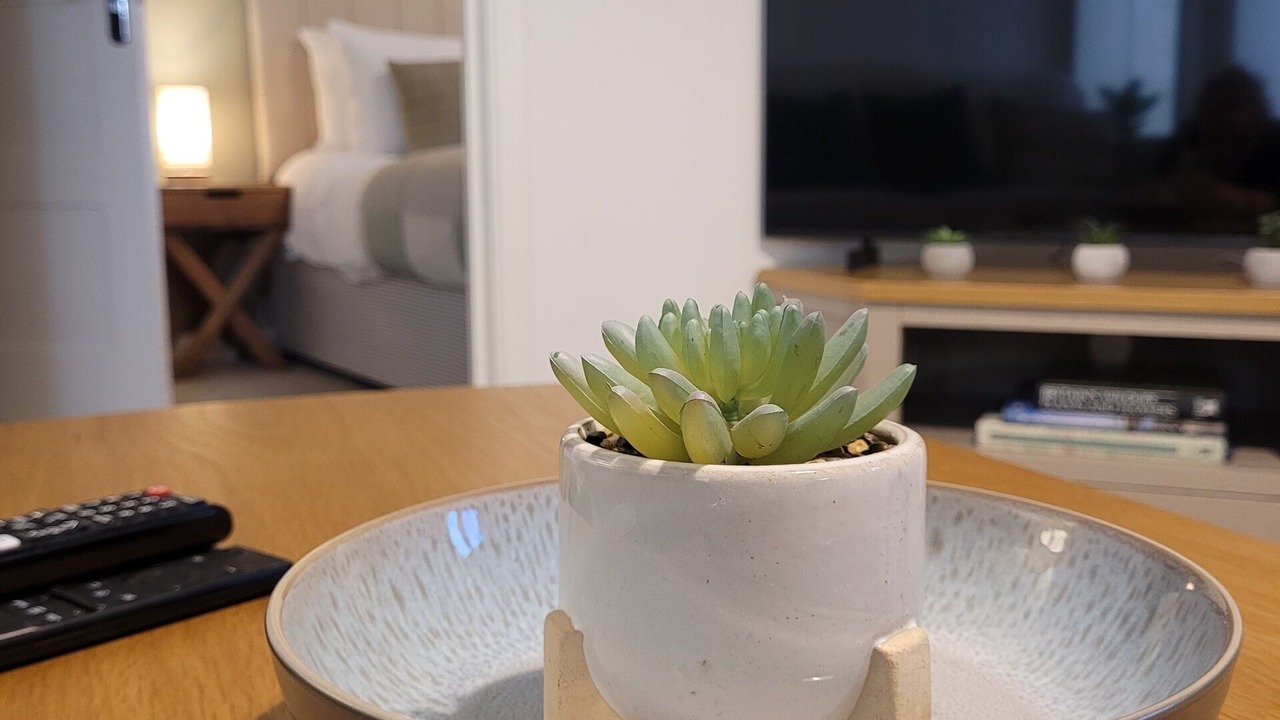 Photo of Others in Wellington