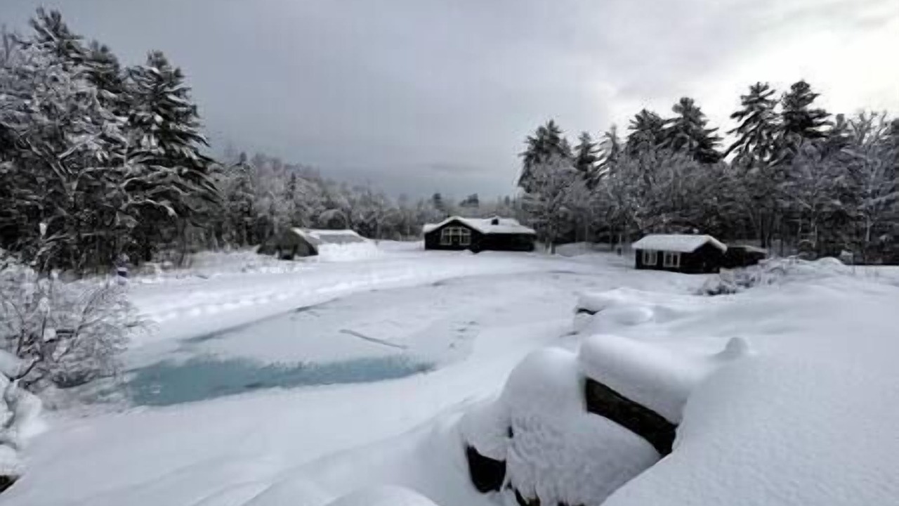 Photo of Others in Kingfield