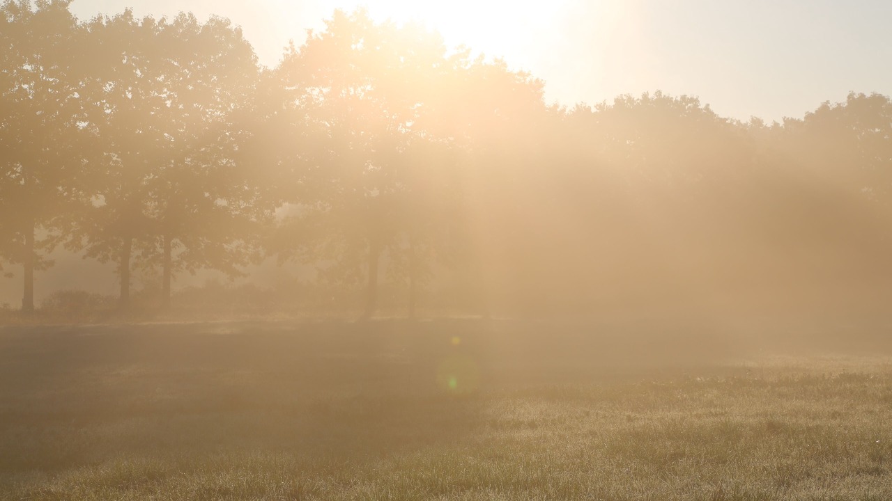 Photo of Outdoor in Poigny la Foret