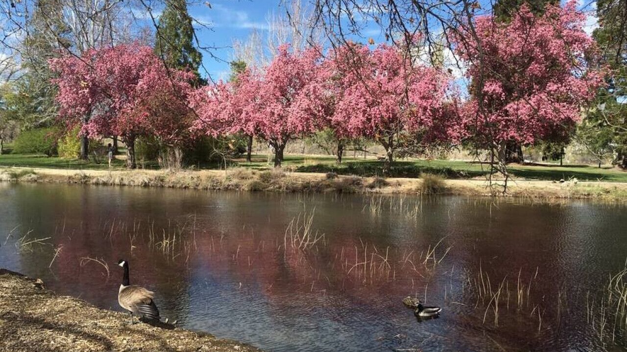 Photo of Outdoor in Old Southwest