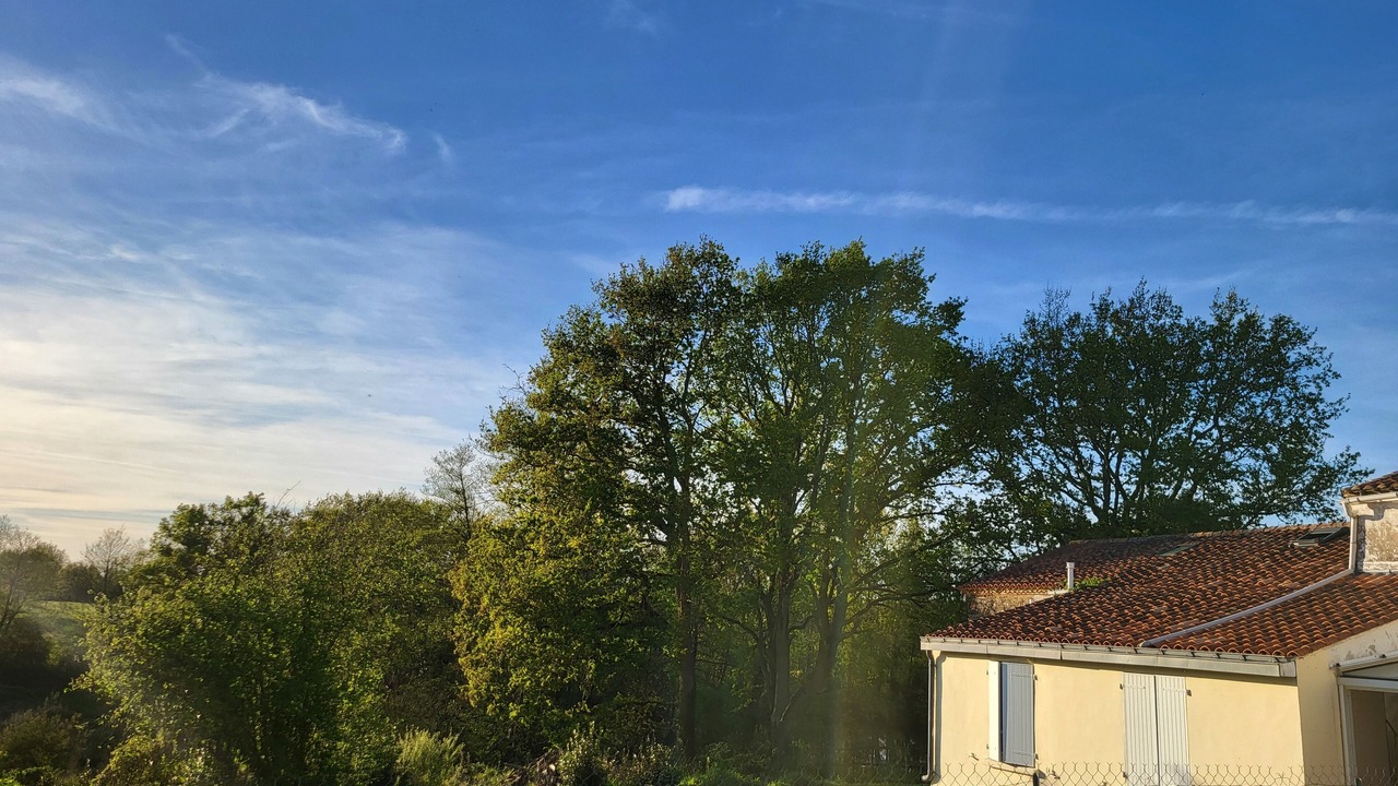 Photo of Outdoor in Talmont-Saint-Hilaire