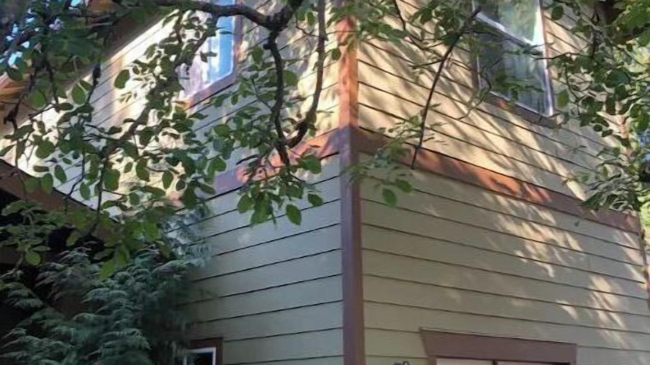 Photo of Outdoor in St. Johns