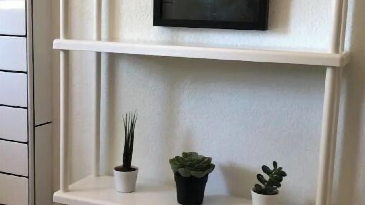 Photo of Others in St. Johns