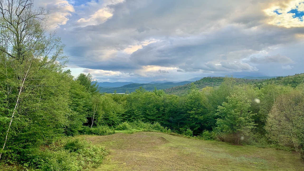 Photo of Others in Stoneham