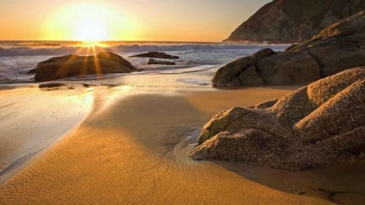 Photo of Others in Linda Mar