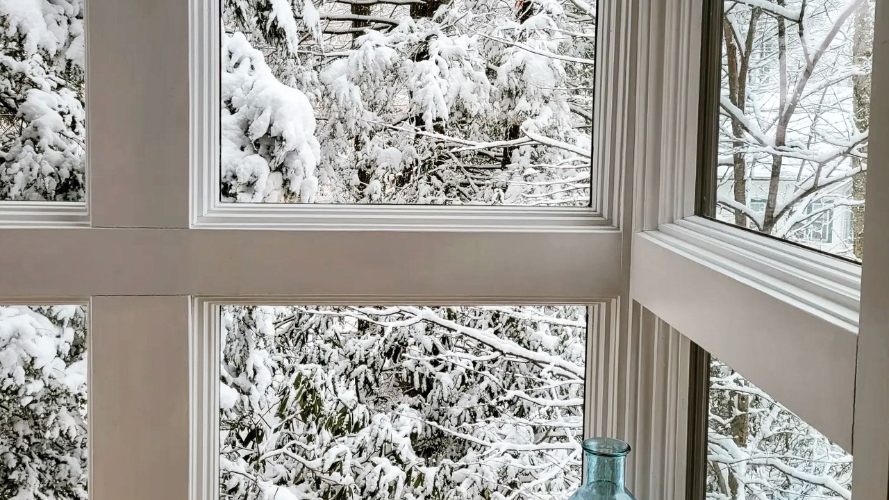 Photo of Others in Lake Ariel
