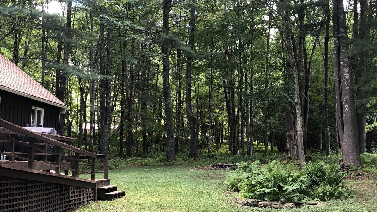 Photo of Outdoor in Margaretville