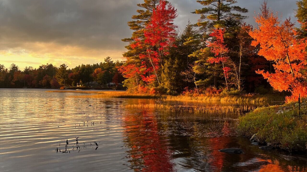 Photo of Others in Acworth