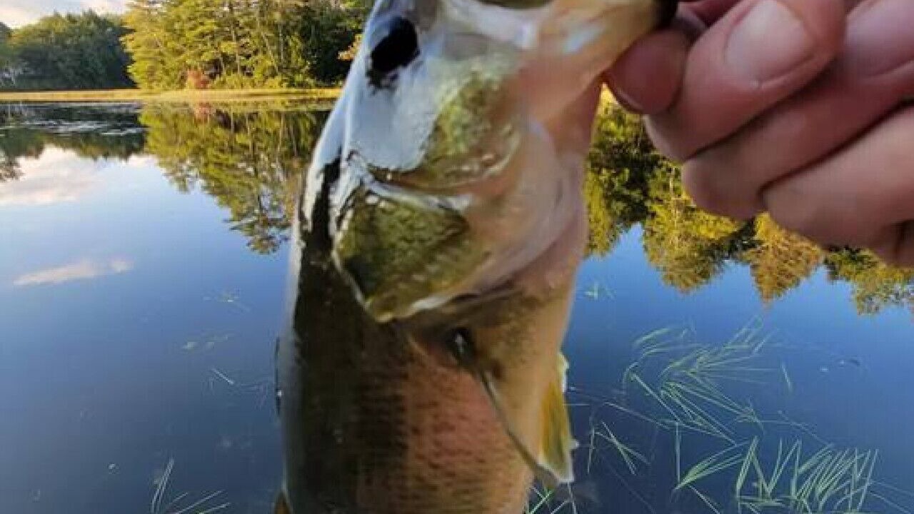 Photo of Others in Acworth