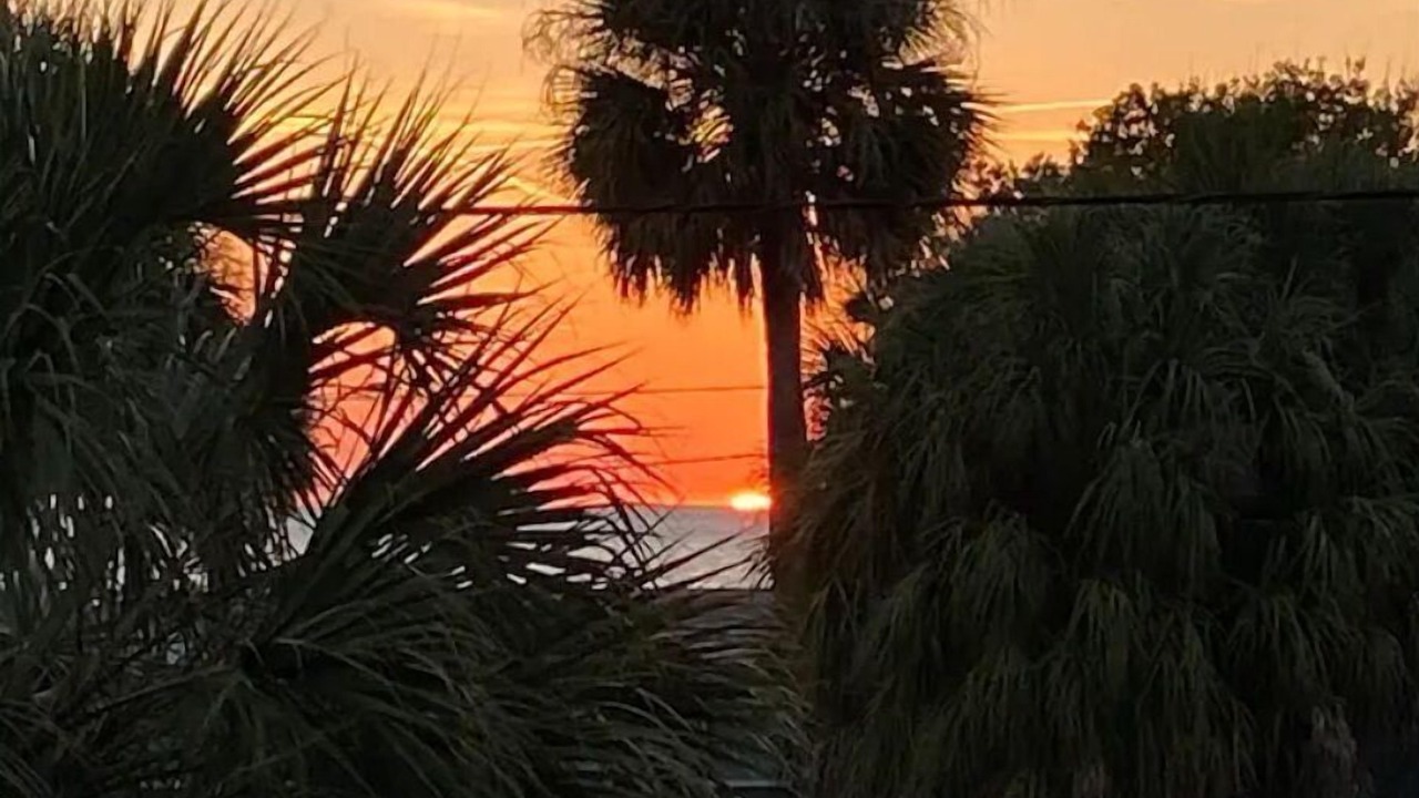 Photo of Others in Indian Rocks Beach